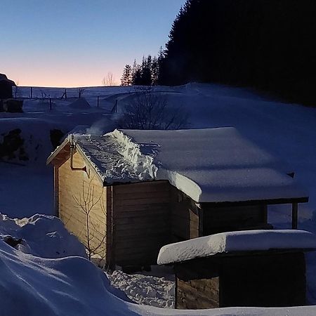 Petit Chalet Nature Les Rousses Eksteriør bilde